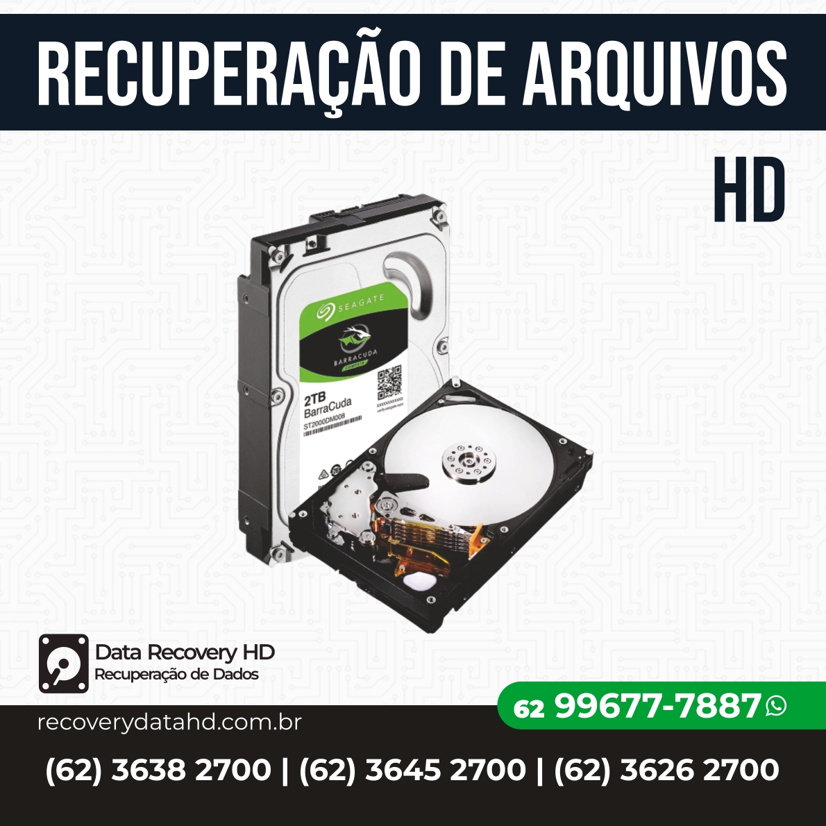 RECOVERY DATA HD-RECUPERAÇÃO DE ARQUIVOS HD GOIAS